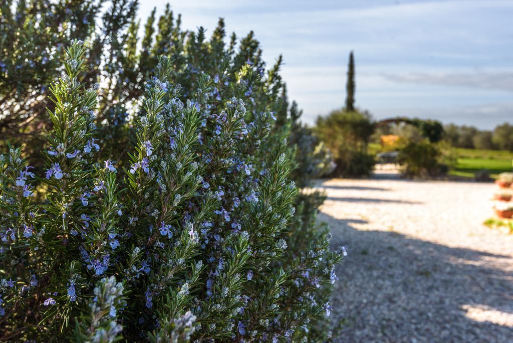 Agriturismo Il Macchione Пиенца Экстерьер фото